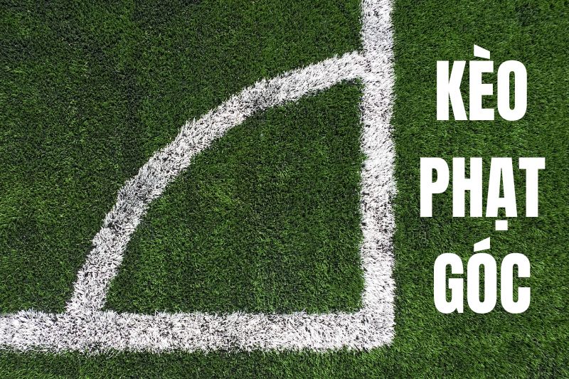 Kèo Phạt Góc - Bí Mật Soi Kèo Từ A Đến Z Cho Dân Chuyên